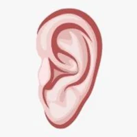EAR